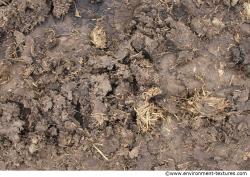 Ground Soil